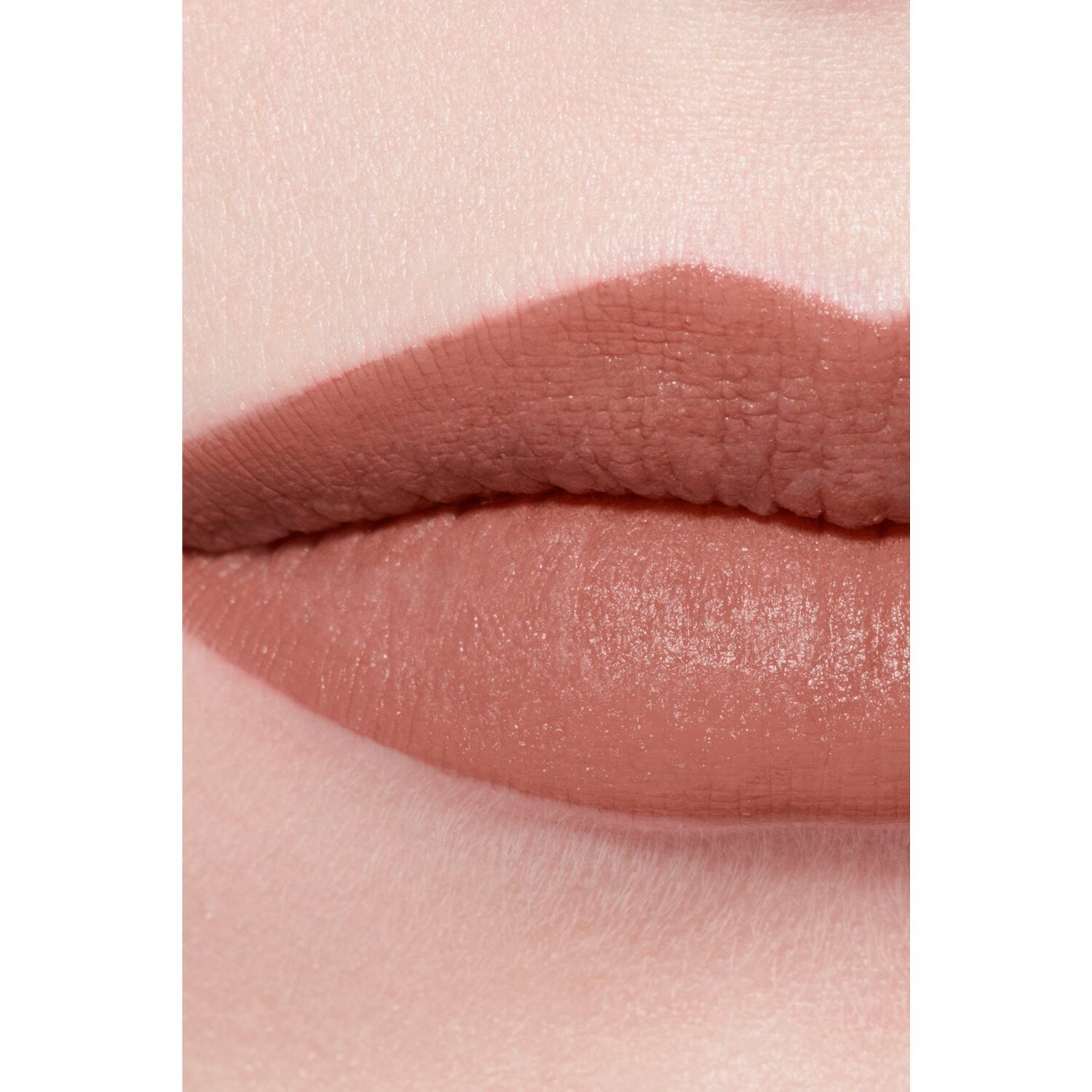 LA BARRA DE LABIOS ATERCIOPELADA LUMINOSA